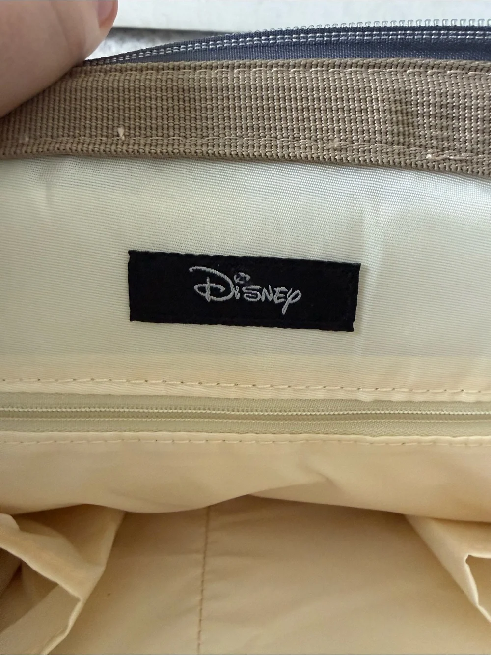 Disney Sage Green Winnie the Pooh Tote-Style Backpack